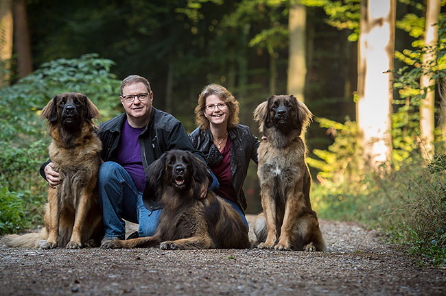 Die Familie der Leonberger Zucht in der Schweiz. Das charming-lions Team aus Ammerzwil